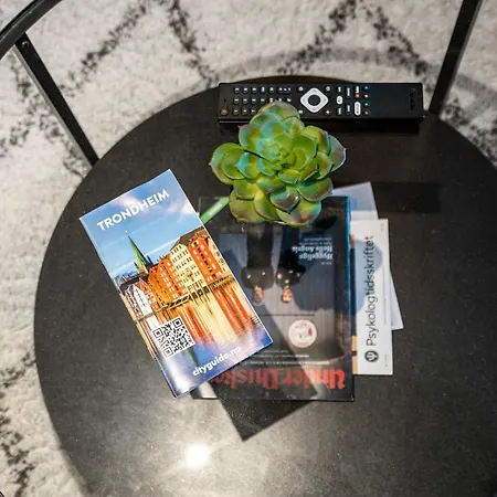 Apartamento And Big With Private Entrance Trondheim